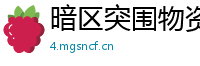 暗区突围物资透视功能：资源获取的新途径